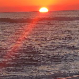 Meet your Posher, Tracey